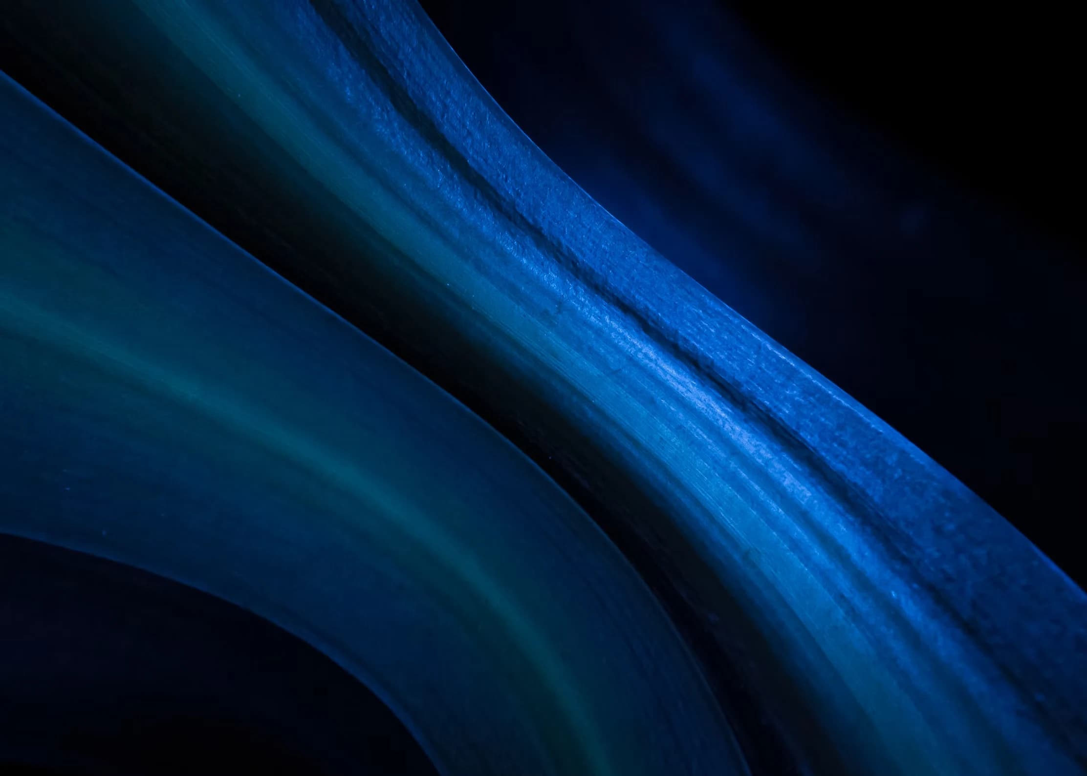 tailark hero section background